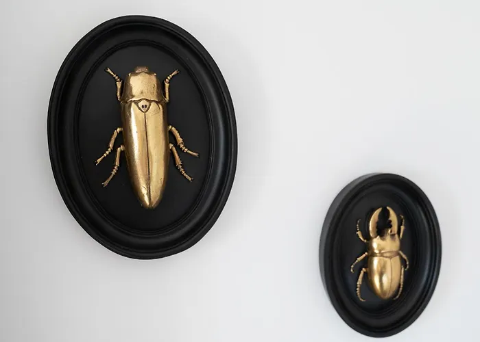 Sistine Chapel View Check-in From 3 Pm To 10 Pm Bed & Breakfast Rome